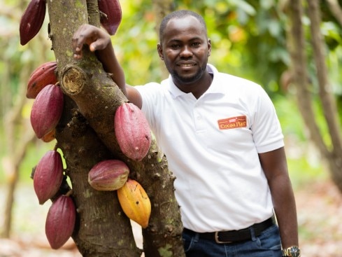 Une personne qui se tient sur un cacaoyer en souriant