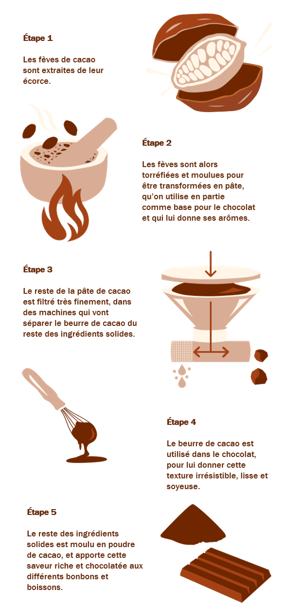 Les différentes étapes de transformations